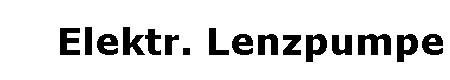 Elektr. Lenzpumpe