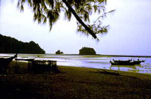 Nai Yang Beach